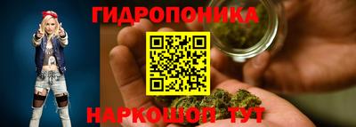 шишки Шахты
