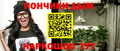 шишки Шахты