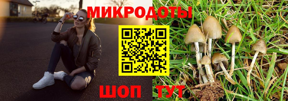 Галлюциногенные грибы Psilocybine cubensis Санкт-Петербург