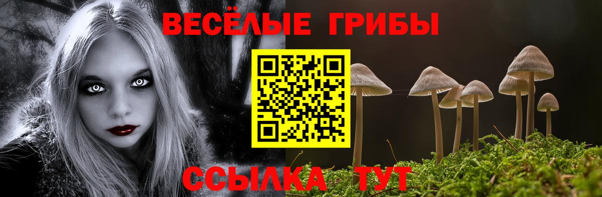 Галлюциногенные грибы Magic Shrooms  где купить наркотик  Вход с VPN  Санкт-Петербург  Псилоцибиновые грибы Cubensis 