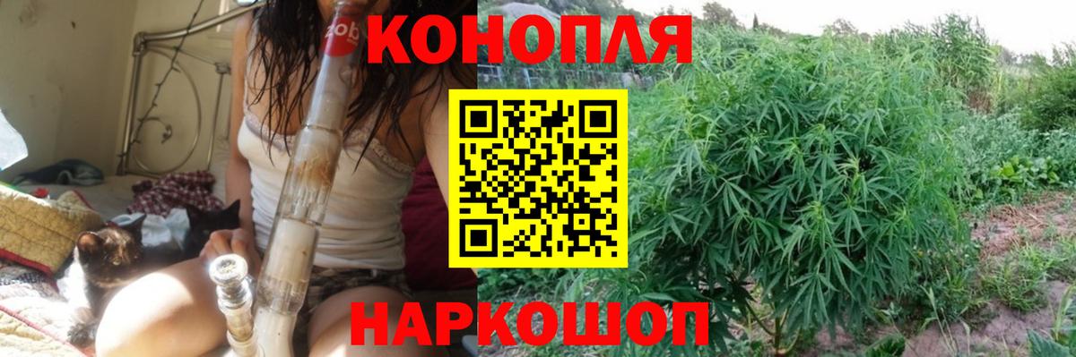 Шишки марихуана SATIVA & INDICA Санкт-Петербург